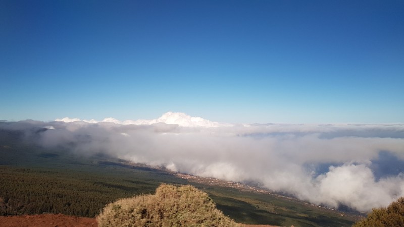 Kanaren-Kreuzfahrt Tag 5 - Teneriffa