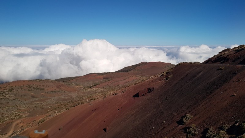 Kanaren-Kreuzfahrt Tag 5 - Teneriffa