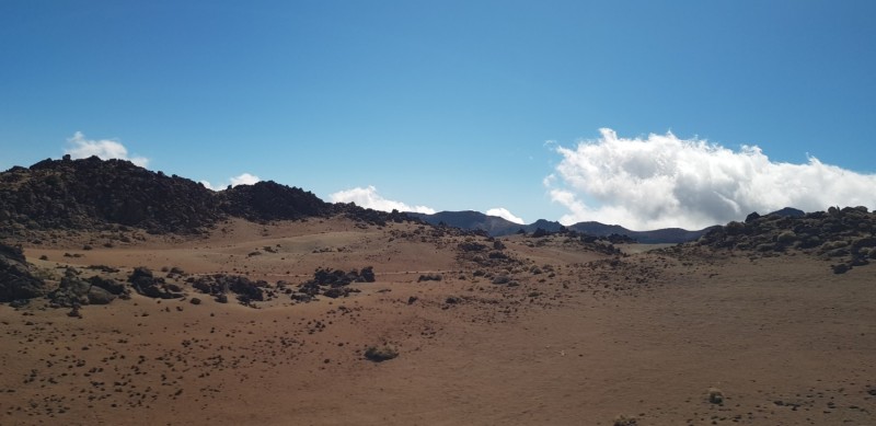 Kanaren-Kreuzfahrt Tag 5 - Teneriffa