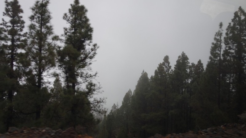 Kanaren-Kreuzfahrt Tag 5 - Teneriffa