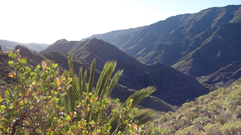 Kanaren-Kreuzfahrt Tag 6 - La Gomera