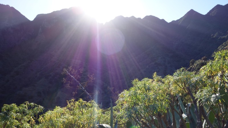 Kanaren-Kreuzfahrt Tag 6 - La Gomera