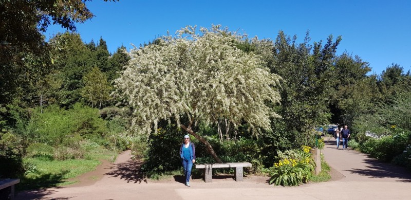 Kanaren-Kreuzfahrt Tag 6 - La Gomera