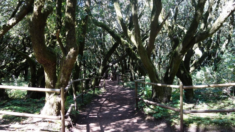 Kanaren-Kreuzfahrt Tag 6 - La Gomera