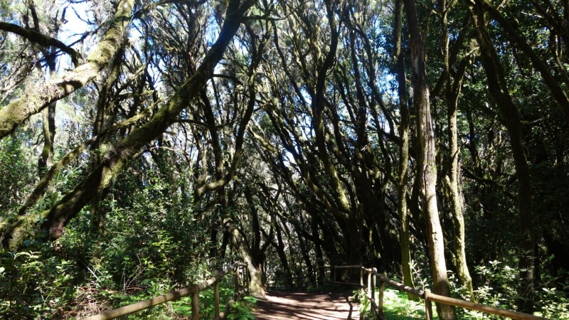 Kanaren-Kreuzfahrt Tag 6 - La Gomera