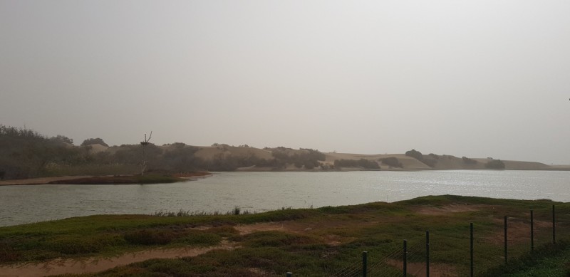 Kanaren-Kreuzfahrt Tag 7 - Wieder zurück auf Gran Canaria