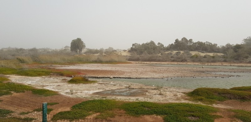 Kanaren-Kreuzfahrt Tag 7 - Wieder zurück auf Gran Canaria