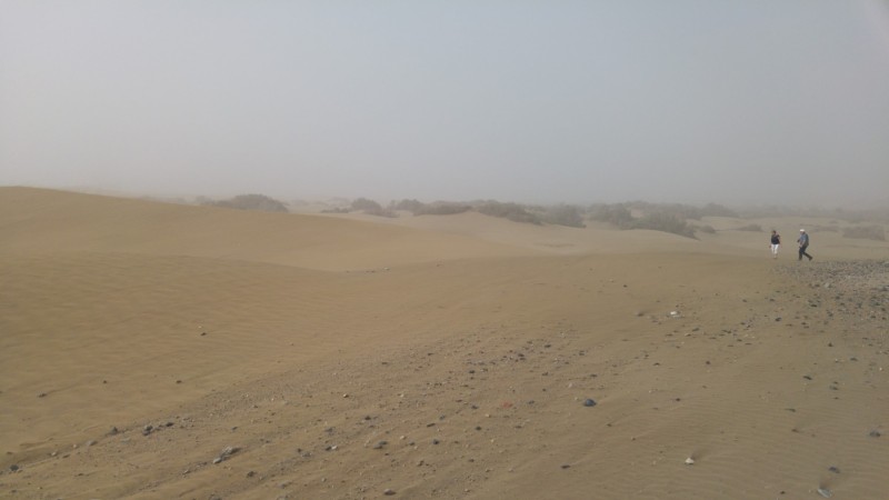 Kanaren-Kreuzfahrt Tag 7 - Wieder zurück auf Gran Canaria