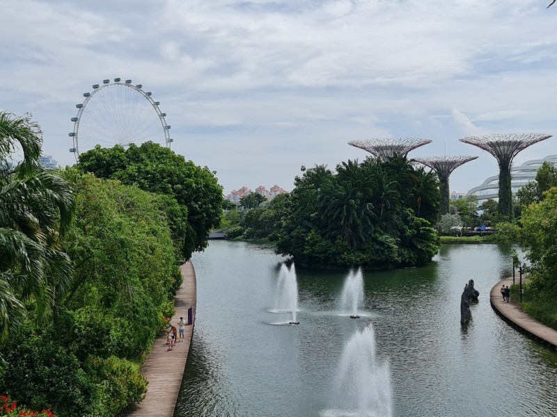 Koh Samui 2022 Sightseeing Singapur Supertrees und Marina Bay Sands