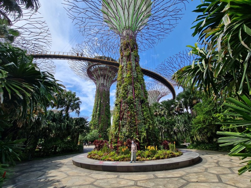 Koh Samui 2022 Sightseeing Singapur Supertrees und Marina Bay Sands