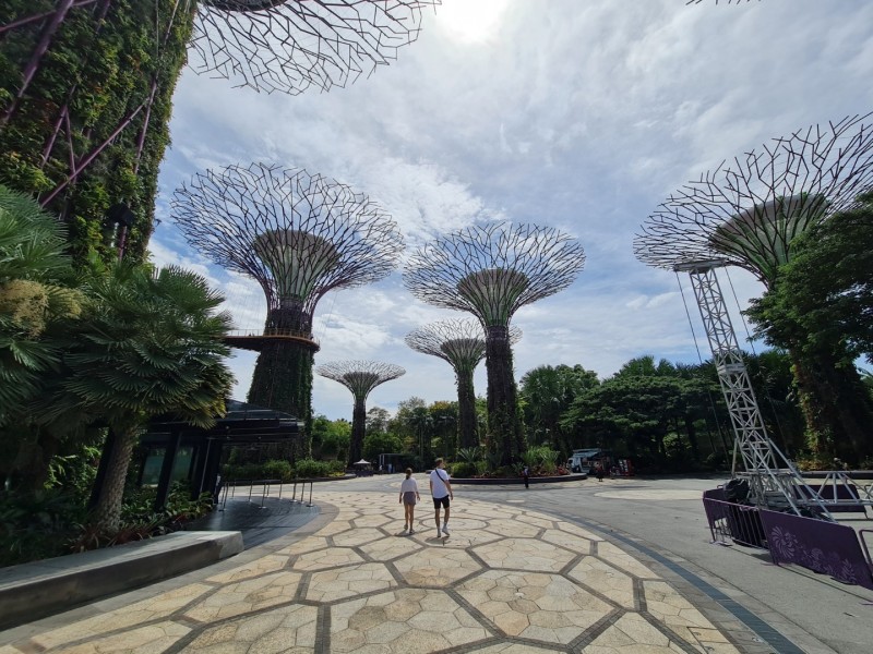 Koh Samui 2022 Sightseeing Singapur Supertrees und Marina Bay Sands
