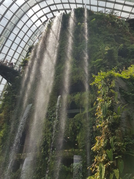 Koh Samui 2022 Sightseeing Singapur Supertrees und Marina Bay Sands