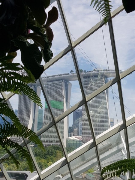 Koh Samui 2022 Sightseeing Singapur Supertrees und Marina Bay Sands