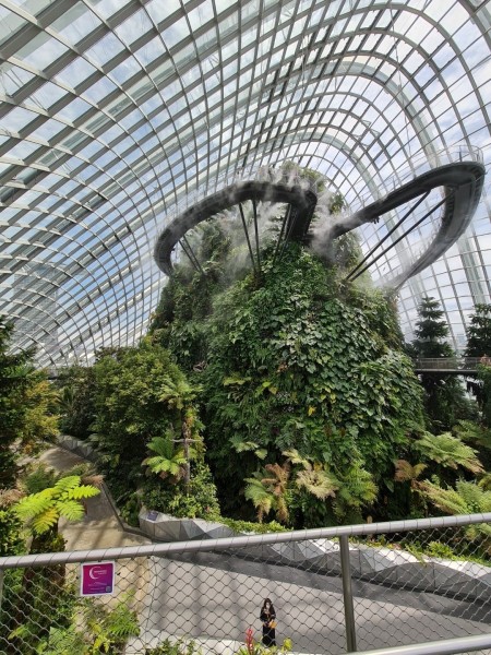 Koh Samui 2022 Sightseeing Singapur Supertrees und Marina Bay Sands