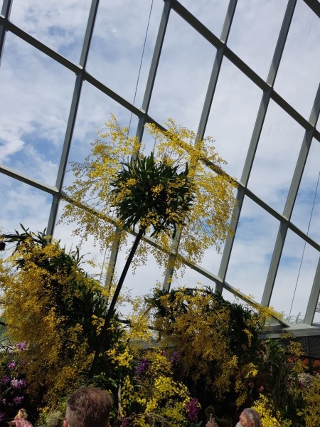 Koh Samui 2022 Sightseeing Singapur Gardens by the Bay