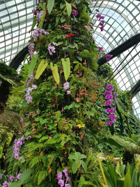 Koh Samui 2022 Sightseeing Singapur Gardens by the Bay