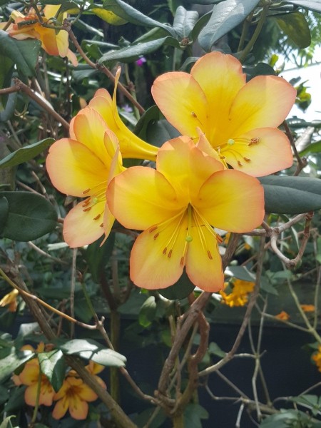 Koh Samui 2022 Sightseeing Singapur Gardens by the Bay