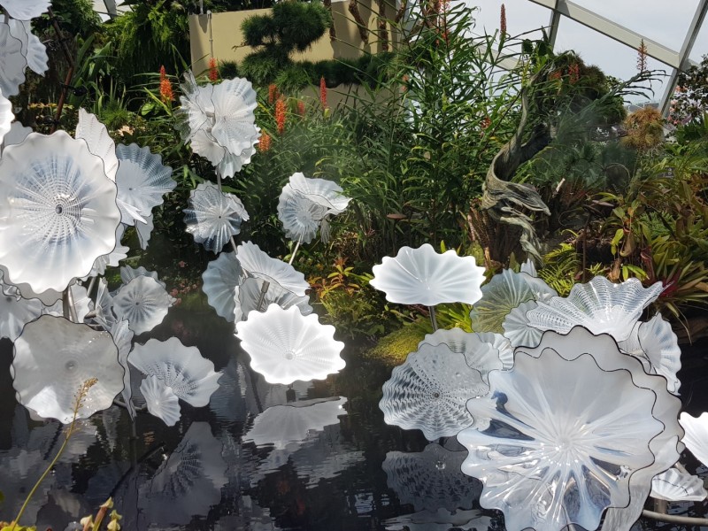 Koh Samui 2022 Sightseeing Singapur Gardens by the Bay