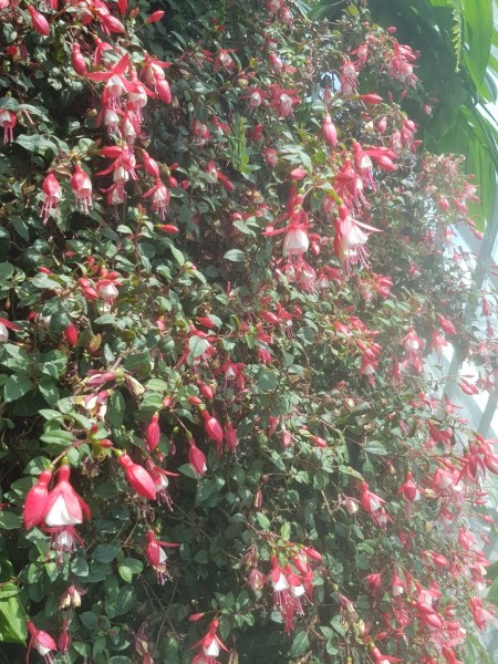 Koh Samui 2022 Sightseeing Singapur Gardens by the Bay