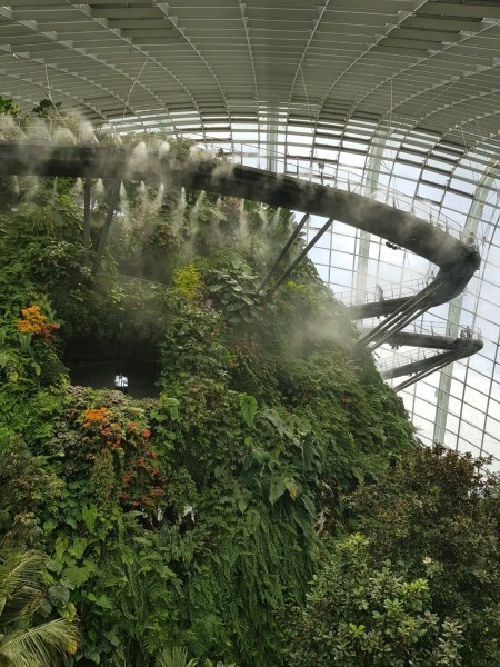 Koh Samui 2022 Sightseeing Singapur Gardens by the Bay