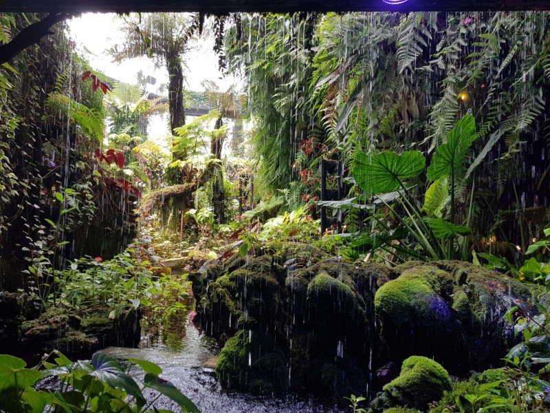 Koh Samui 2022 Sightseeing Singapur Gardens by the Bay