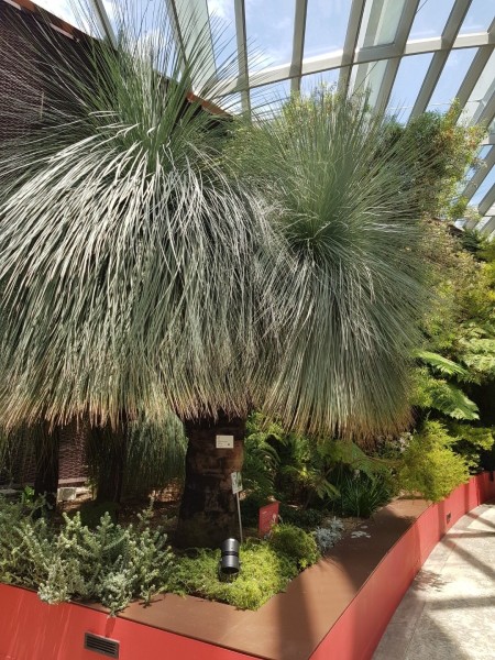 Koh Samui 2022 Sightseeing Singapur Gardens by the Bay