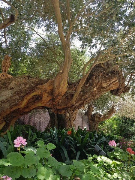 Koh Samui 2022 Sightseeing Singapur Gardens by the Bay