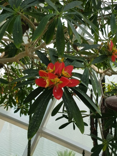 Koh Samui 2022 Sightseeing Singapur Gardens by the Bay