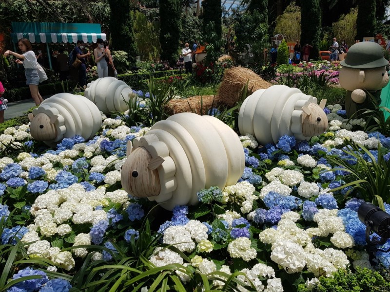 Koh Samui 2022 Sightseeing Singapur Gardens by the Bay