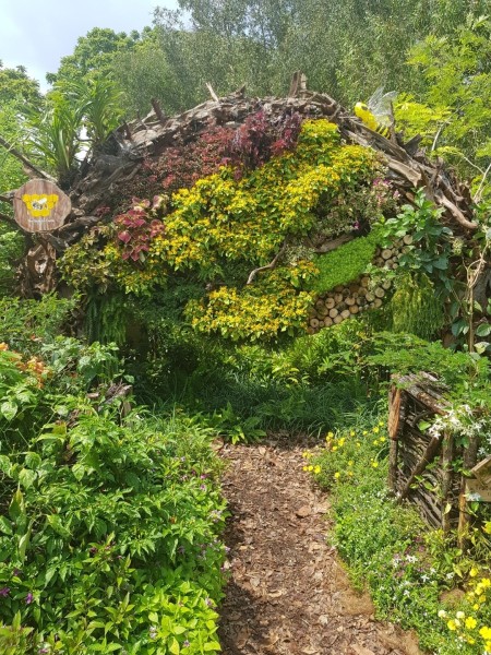 Koh Samui 2022 Sightseeing Singapur Botanischer Garten
