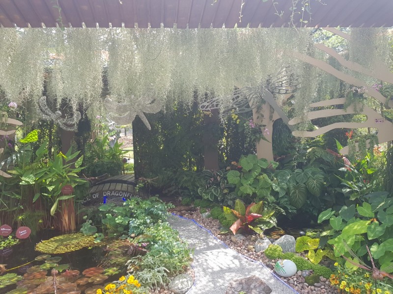 Koh Samui 2022 Sightseeing Singapur Botanischer Garten