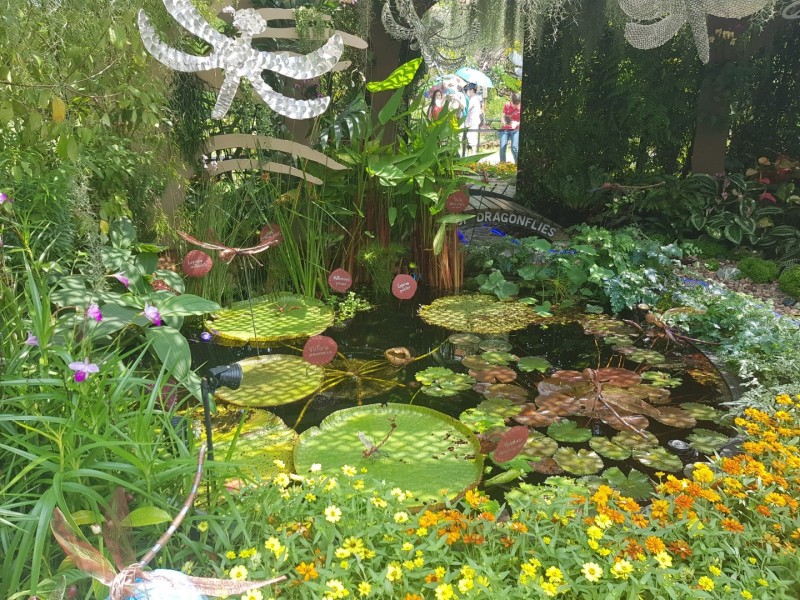 Koh Samui 2022 Sightseeing Singapur Botanischer Garten