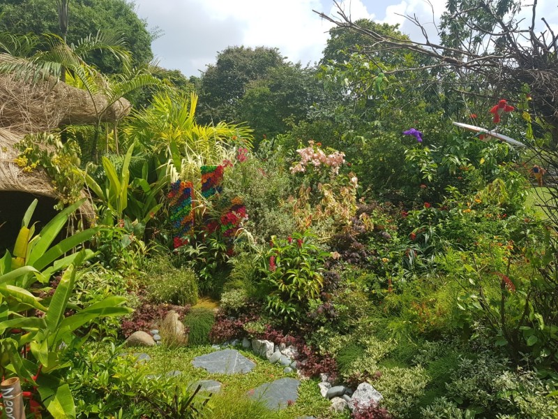 Koh Samui 2022 Sightseeing Singapur Botanischer Garten