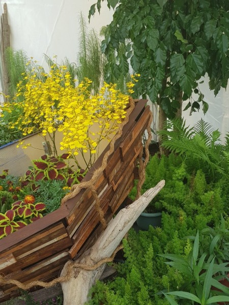 Koh Samui 2022 Sightseeing Singapur Botanischer Garten