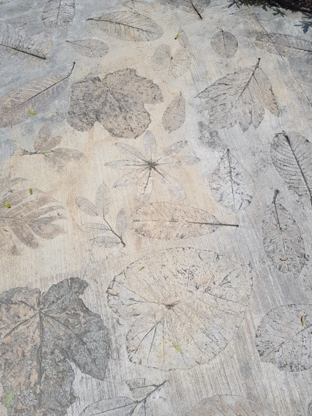 Koh Samui 2022 Sightseeing Singapur Botanischer Garten