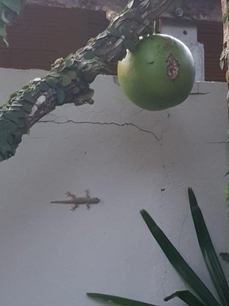 Koh Samui 2022 Hotel