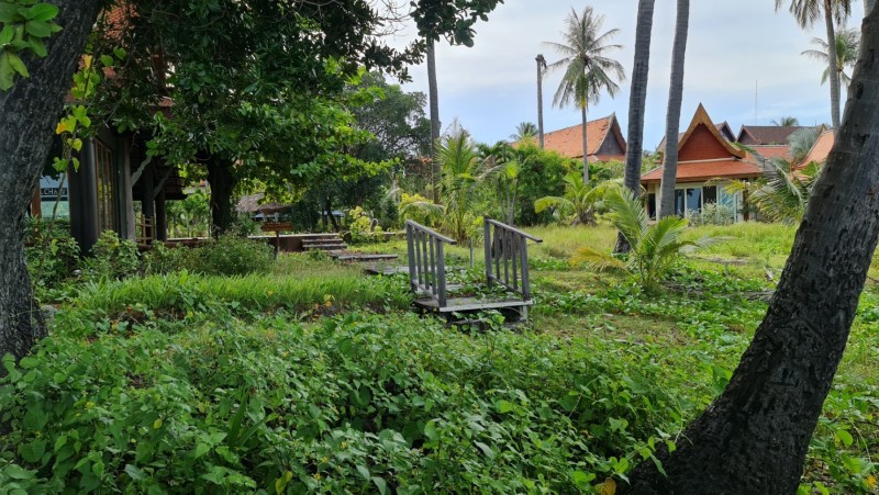 Koh Samui 2022 Besuch Lost Place Blue Lagoon