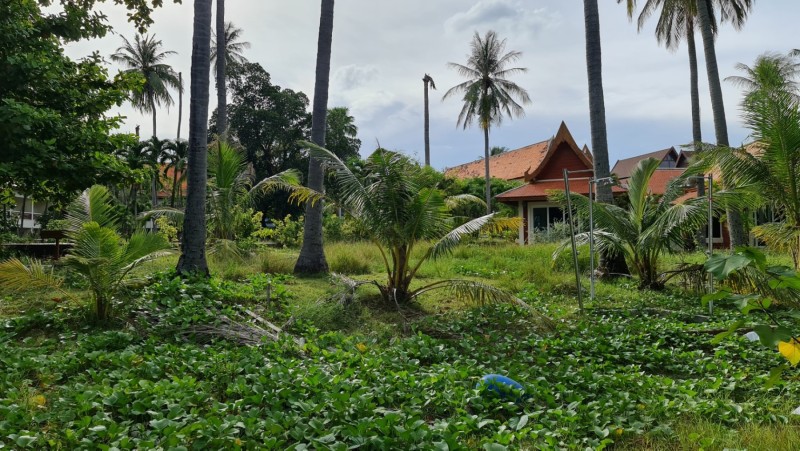 Koh Samui 2022 Besuch Lost Place Blue Lagoon
