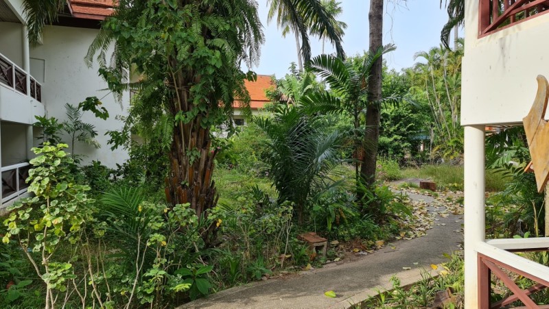 Koh Samui 2022 Besuch Lost Place Blue Lagoon