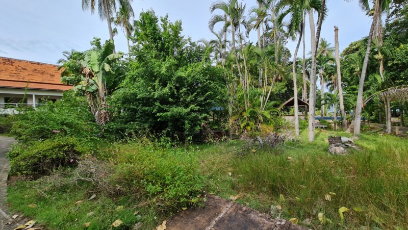 Koh Samui 2022 Besuch Lost Place Blue Lagoon