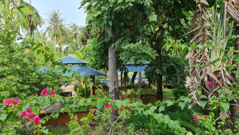 Koh Samui 2022 Besuch Lost Place Blue Lagoon