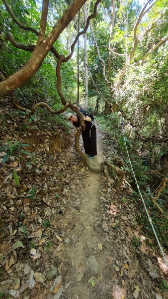 Koh Samui 2022 Jeepsafari