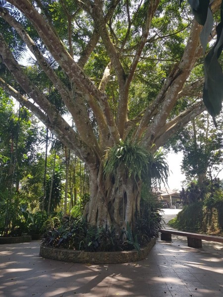 Koh Samui 2022 Jeepsafari