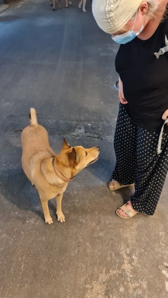 Koh Samui 2022 Jeepsafari