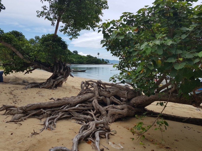 Koh Samui 2022 Impressionen Teil 4