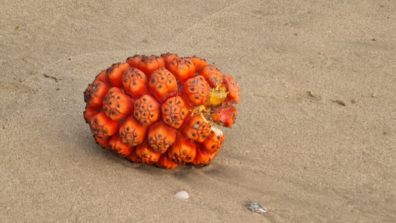 2023 Sri Lanka Colombo - Galle