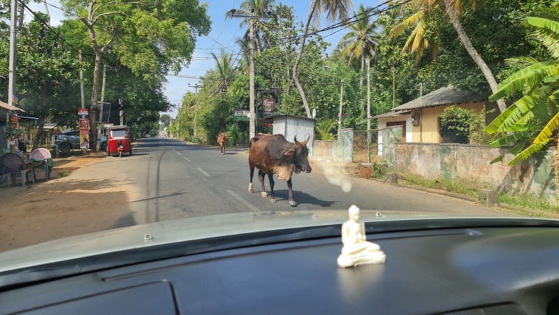 2023 Sri Lanka Kataragama