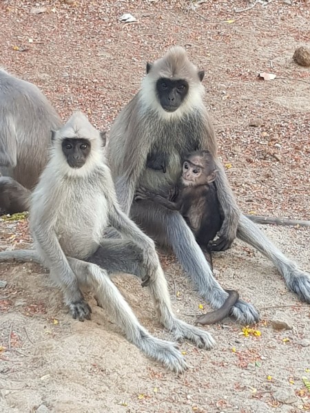 2023 Sri Lanka Kataragama