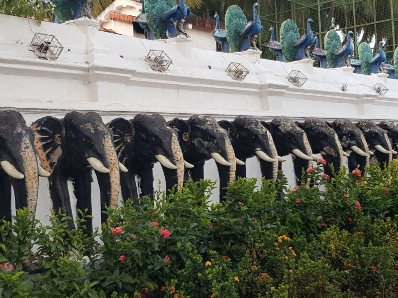 2023 Sri Lanka Kataragama