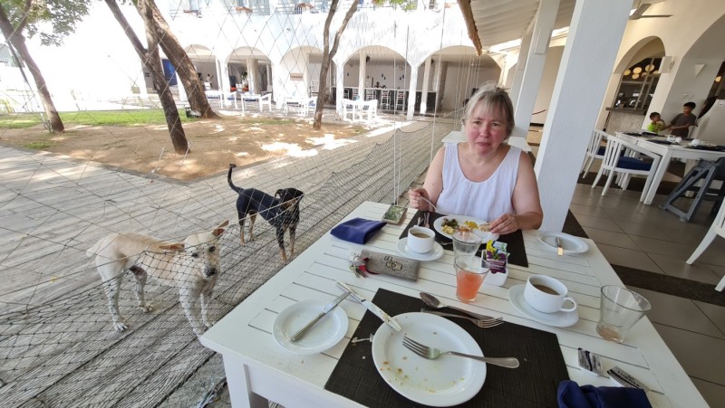 2023 Sri Lanka Trincomalee Hotel Trinco Blu